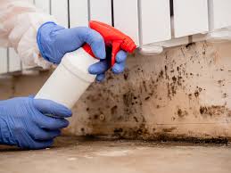 Best Mold Remediation for Healthcare Facilities in Lake Park, IA